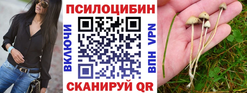 Галлюциногенные грибы ЛСД Белогорск