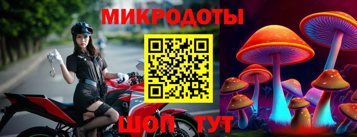 Галлюциногенные грибы Psilocybe Белогорск