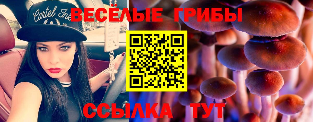 Псилоцибиновые грибы мицелий  Галлюциногенные грибы ЛСД  Белогорск 