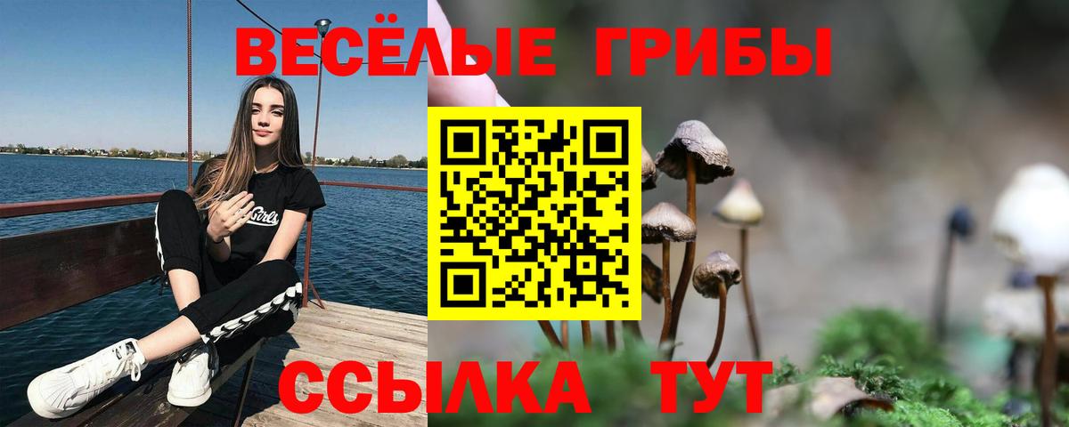 Псилоцибиновые грибы прущие грибы  Псилоцибиновые грибы MAGIC MUSHROOMS  где продают наркотики  Вход с VPN  Белогорск 