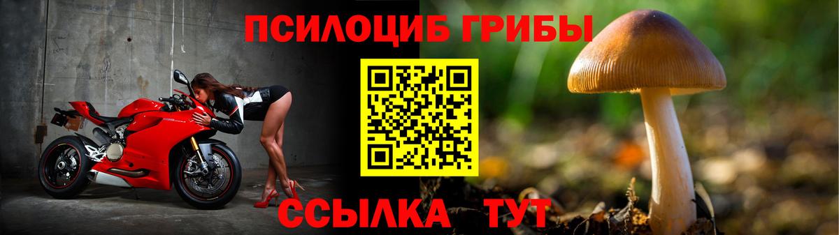 Псилоцибиновые грибы прущие грибы Белогорск