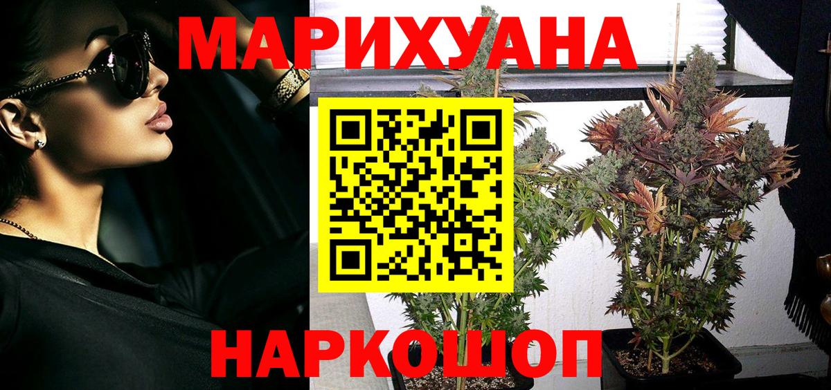 Шишки марихуана Amnesia  Белогорск  Бошки марихуана планчик  Бошки марихуана гибрид 